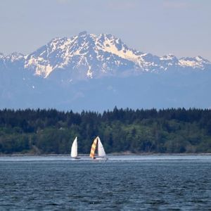 Meet your Posher, Janie